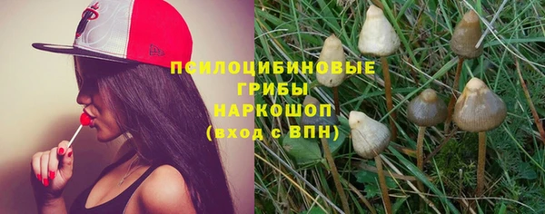 а пвп мука Алексеевка