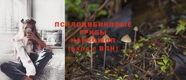 МДПВ Абдулино