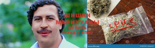 гидропоника Алзамай